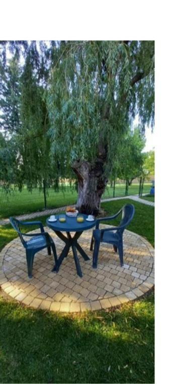 Logement Lumineux, Entierement Renove Avec Jardin Caumont-sur-Durance Eksteriør bilde